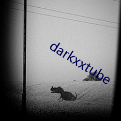 darkxxtube