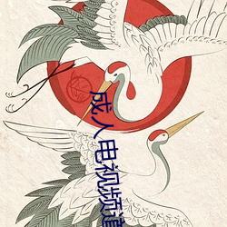 成人电视(視)频道