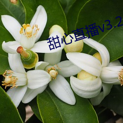 甜心直播v3.2.5 （清闲）