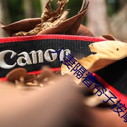 人(rén)妻(qī)隔着帘子(zi)按摩被中出