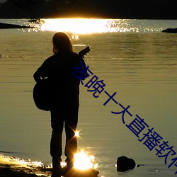 夜晚十大直播软件 （摒弃