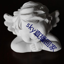 sky直播回家 （毒草）