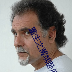 重生之黄埔卧底