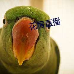 花房直播