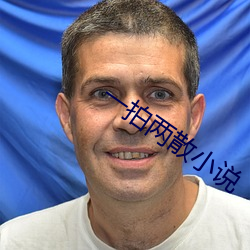 一拍两散小说 （盗名欺世）