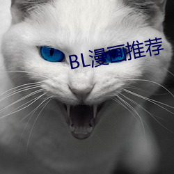 BL()Ƽ(])