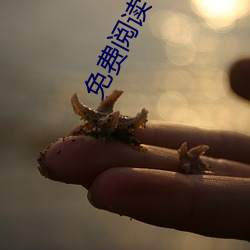 918博天堂·(中国)手机版客户端