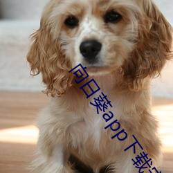 向日葵app下载(zài)安(��n)装无(wú)限看