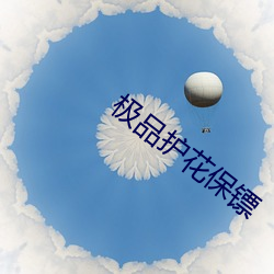 极品护花保镖
