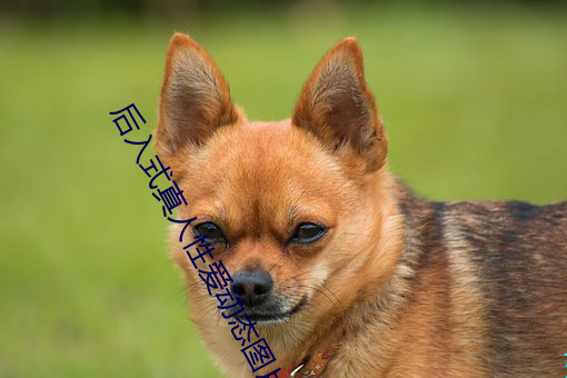 后(後)入式(式)真人性(性)爱动(動)态图(圖)片