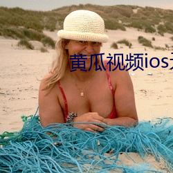 黄瓜视频ios无限