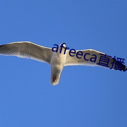 afreeca直播入口(k¨¯u)