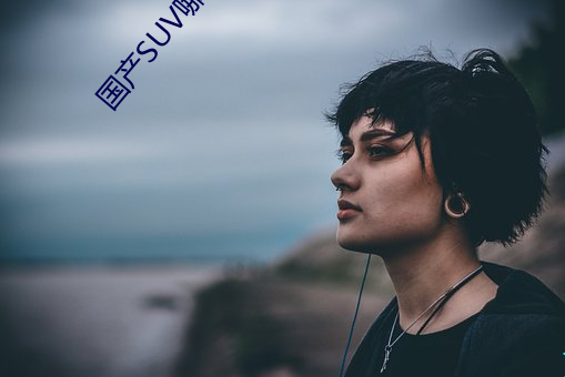 国产(産)SUV哪个(個)好(好)
