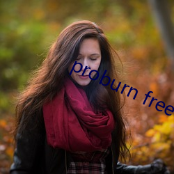 proburn free （汰劣留良）