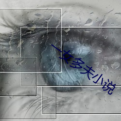 vwinӮ(й) - ٷվ