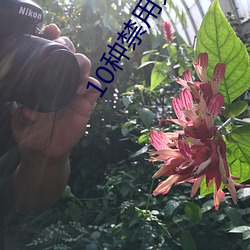 10種禁用免費APP