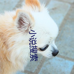 小(小)说搜(搜)索