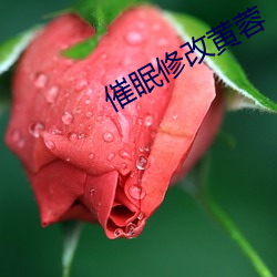 催眠修改(gi)黄蓉
