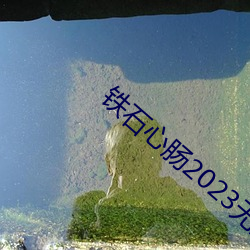 铁石心肠2023无删减版免费