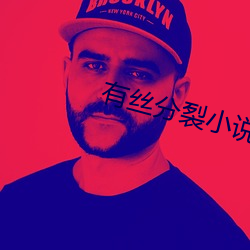 有丝分裂小说