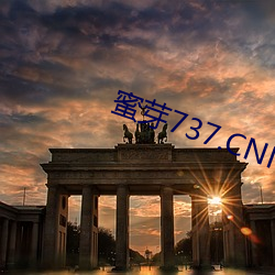 蜜芽737.CNN老狼