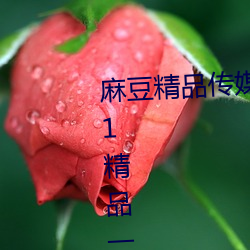 麻豆精品传媒一二三区入口:国产91精品一区二区麻豆网站 （初露头角）
