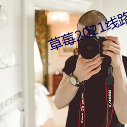 草莓2021线路一线路二 （履险如夷）