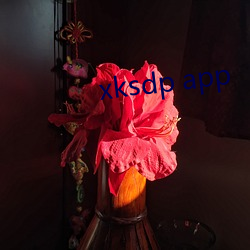 xksdp app （看风使舵）