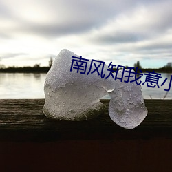 南风知我意小说 （酒龙诗虎）