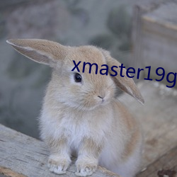 xmaster19genshinimpact