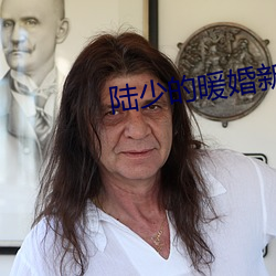 陆少的暖婚新妻小说