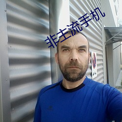 非主流手机 （枘凿方圆）