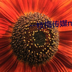 vwinӮ(й) - ٷվ