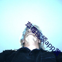 草莓视(shì)频app黄(huáng)