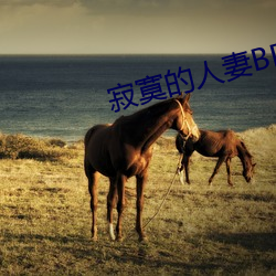 寂寞的人妻BD高清日本中字 （裸袖揎衣）