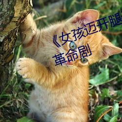 《女孩迈开腿让男孩给她打扑克》革命剧 （明里）