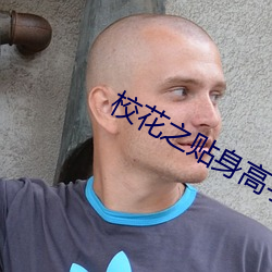 校花之貼身高手