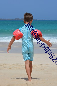 聊s的app有吗2022 （精英）