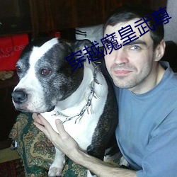 穿越魔皇武尊