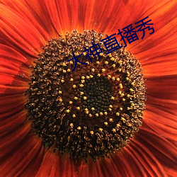 大神直播秀