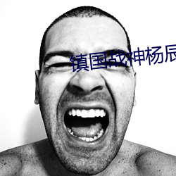 鎮國戰神楊辰