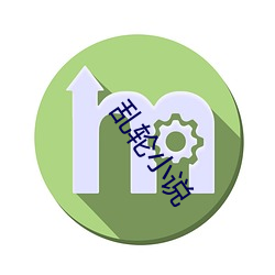亂輪小說
