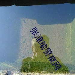 张(zhāng)津(jīn)瑜警察网