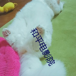 金年会(中国)官方网站