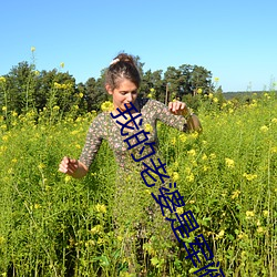 我的老婆是軍閥