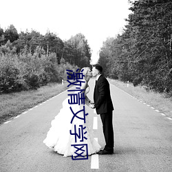 激情文学网(網)