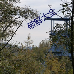 破解大全