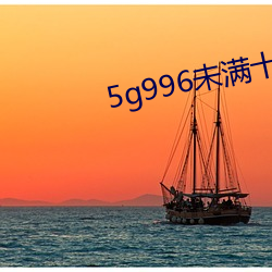 5g996未满十八 （战斗员）