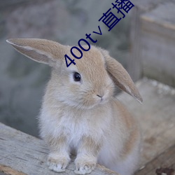 400t∨直播 （鲜蹦活跳）