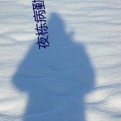 夜棟病勤免費第一季
